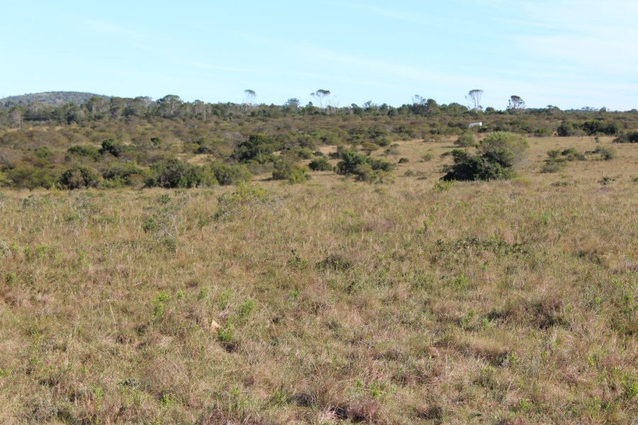 1 Bedroom Property for Sale in Bathurst Rural Eastern Cape